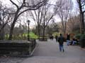 24. Central Park!